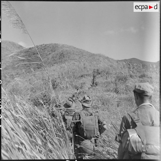 Progression difficile de parachutistes de la colonne Langlais à travers de hautes herbes à éléphant au cours d'une marche vers le Laos.