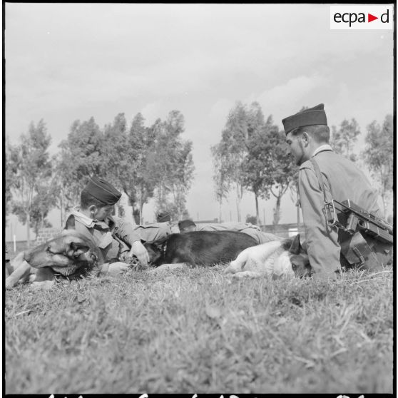 Entraînement sur le ring". Pendant la pause, les stagiaires doivent s'occuper de leurs chiens.