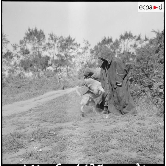 Peloton cynophile du 9e zouaves. Attaques.