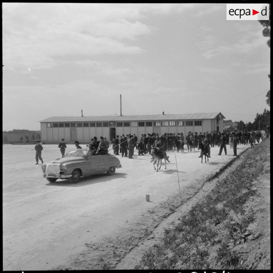 Alger. Fête de l'Aïd el Seghir au 411e régiment anti-aérien (RAA). Course de baudets (ânes).